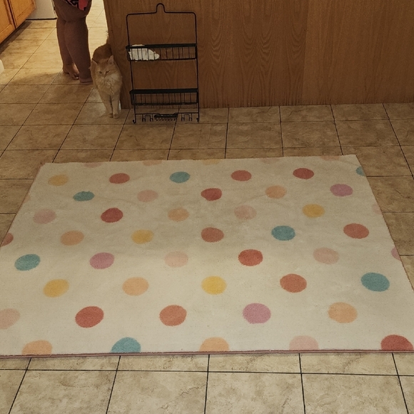 Colorful Polka Dot Rug - Picture 2 of 5